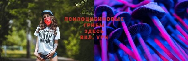 ешки Богородск
