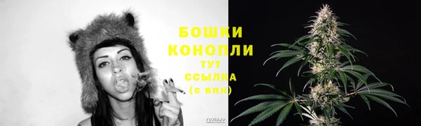 амф Богородицк