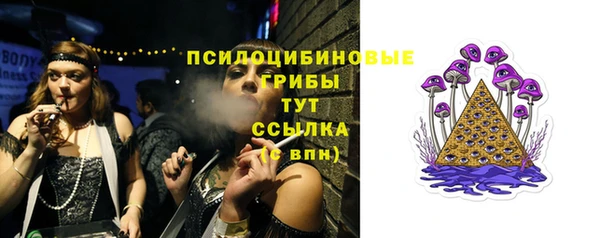 амф Богородицк