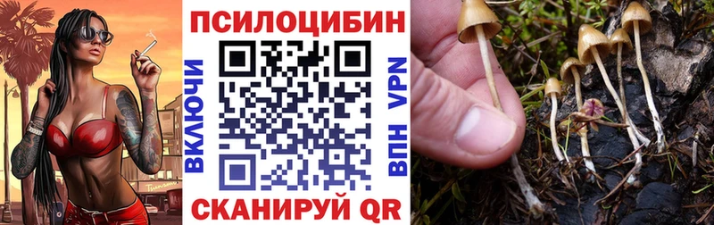 МЕГА сайт  Пестово  Псилоцибиновые грибы Magic Shrooms 
